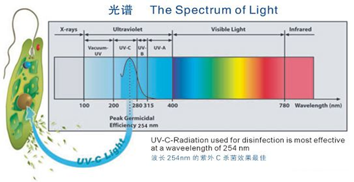 科普！紫外線(xiàn)殺菌燈對(duì)人體影響及正確使用方法